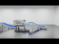 สายการผลิตหมักอัตโนมัติ